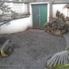 PHOTO-2020-01-13-09-56-31